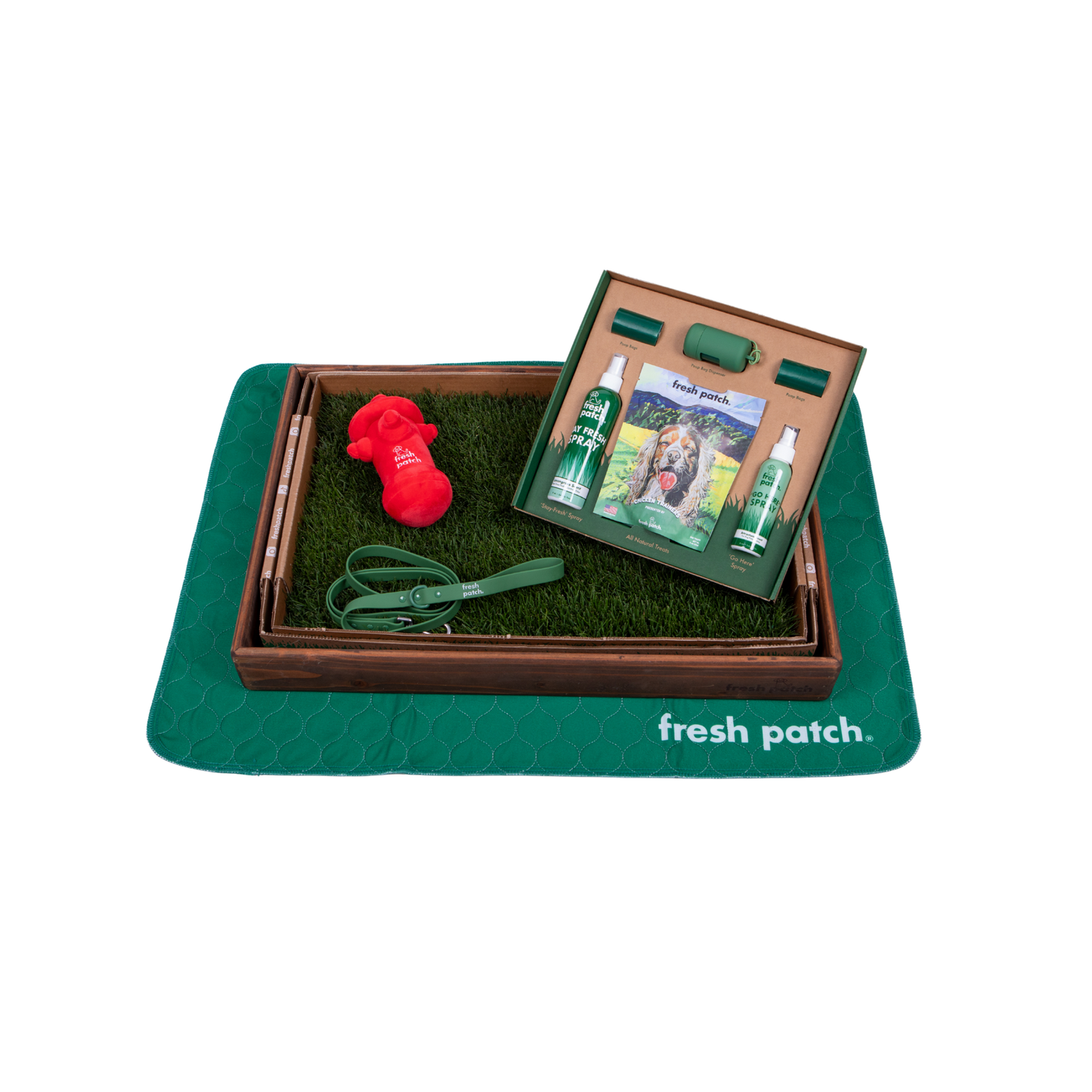 Dog grooming kit with green tray, red toy, and 'fresh patch' branded items on a white background