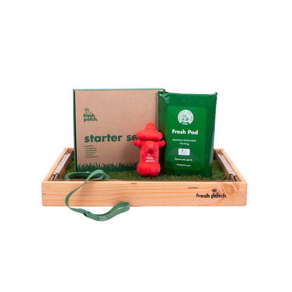 Dog training kit with green bag, red toy, and cardboard box on a wooden tray.
