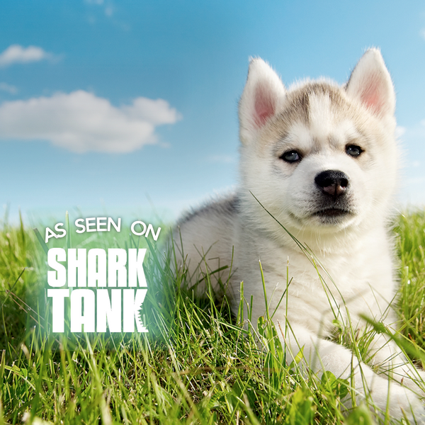 Shark tank dog grass best sale