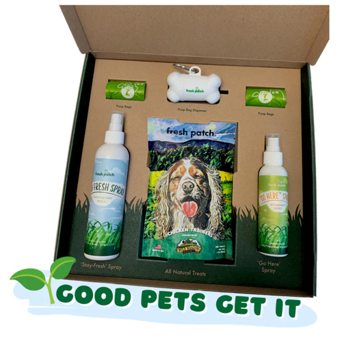 Tips for potty training a puppy - Fresh Patch doggie grass Tips For Potty Training A Puppy - Fresh Patch Doggie Grass
