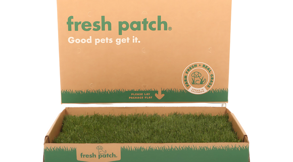 Cardboard box with real grass pad and 'fresh patch' branding on a white background