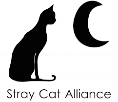 Black silhouette of a cat and a moon with 'Stray Cat Alliance' text below.