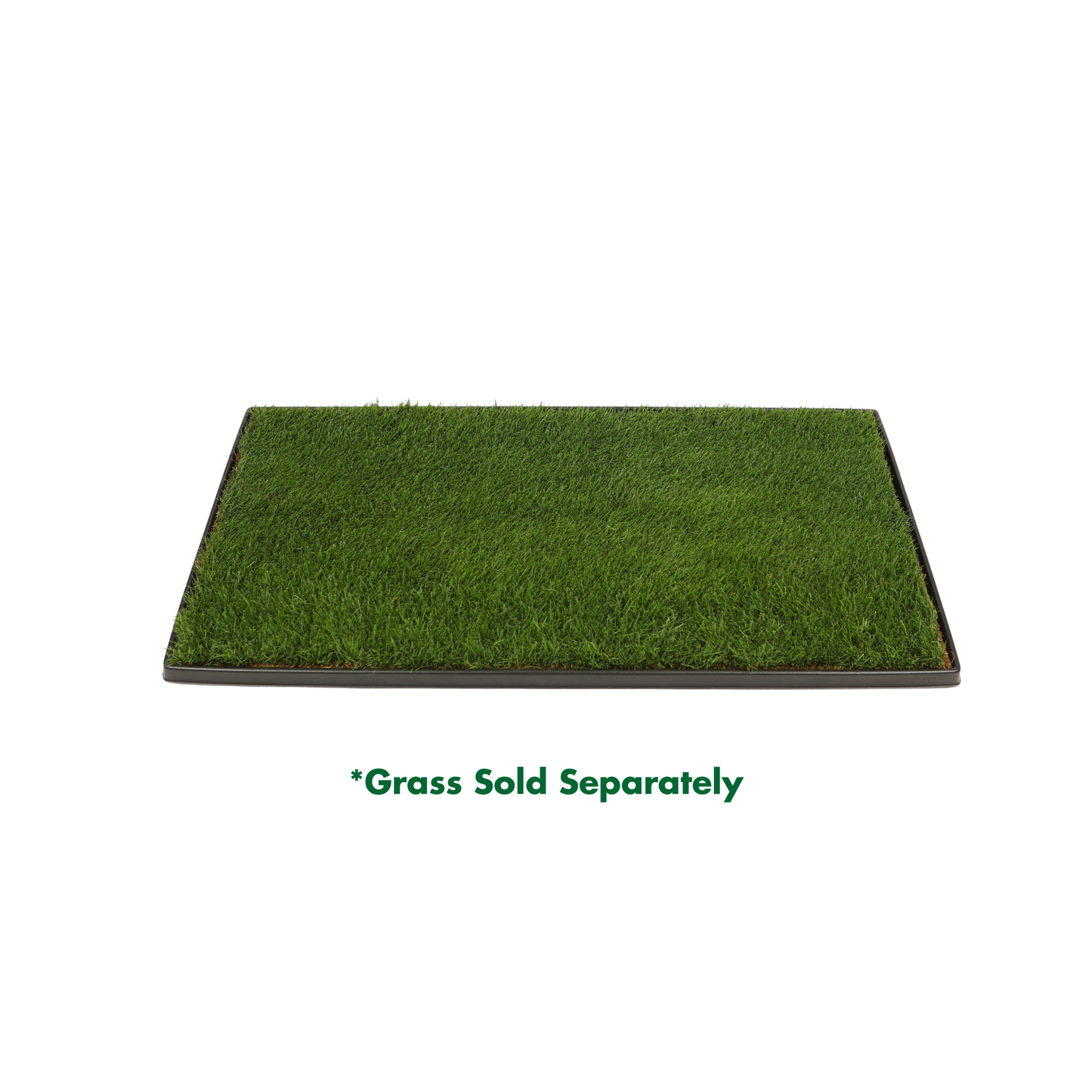Rectangular patch of real grass on a white background with text indicating grass is sold separately.