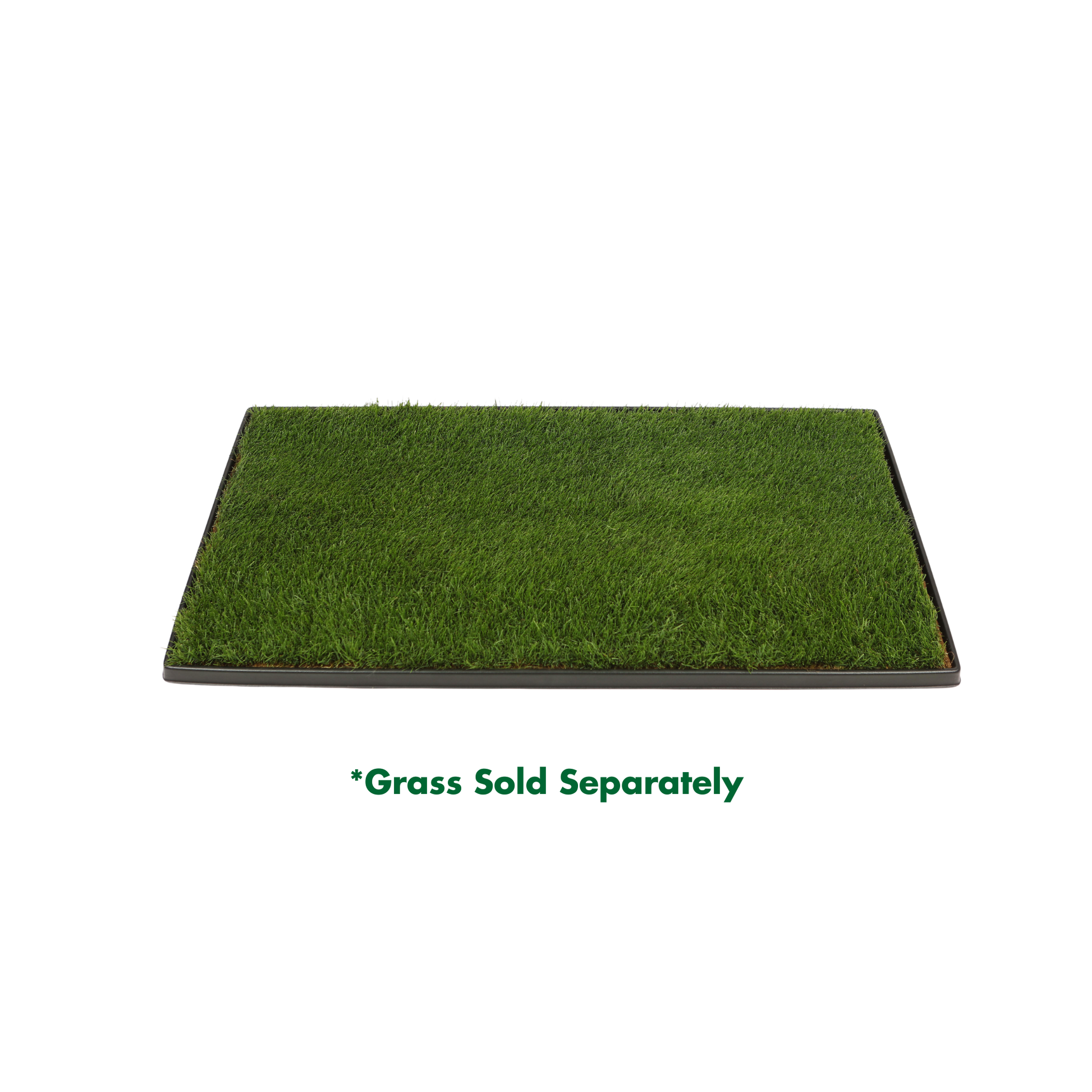 Rectangular patch of real grass on a white background with text indicating grass is sold separately.