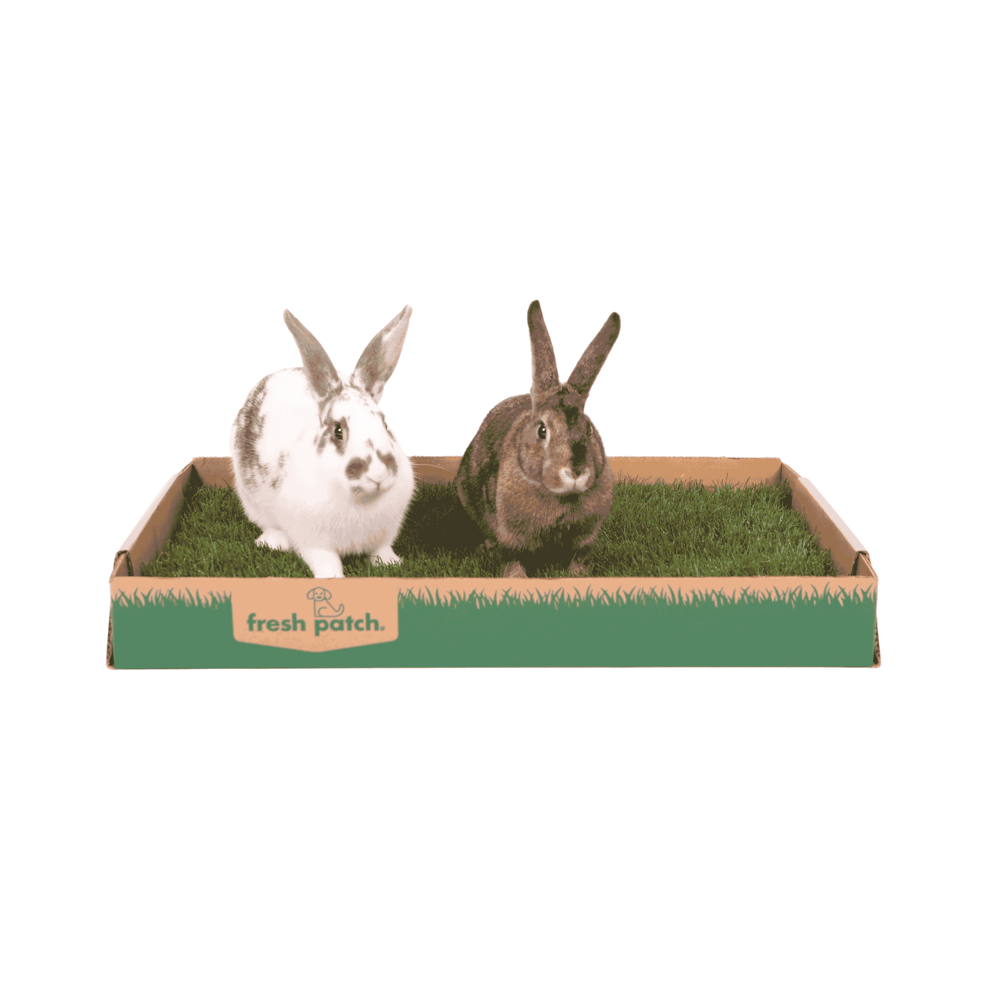 Two rabbits in a cardboard box with grassy interior, branded 'fresh patch'.