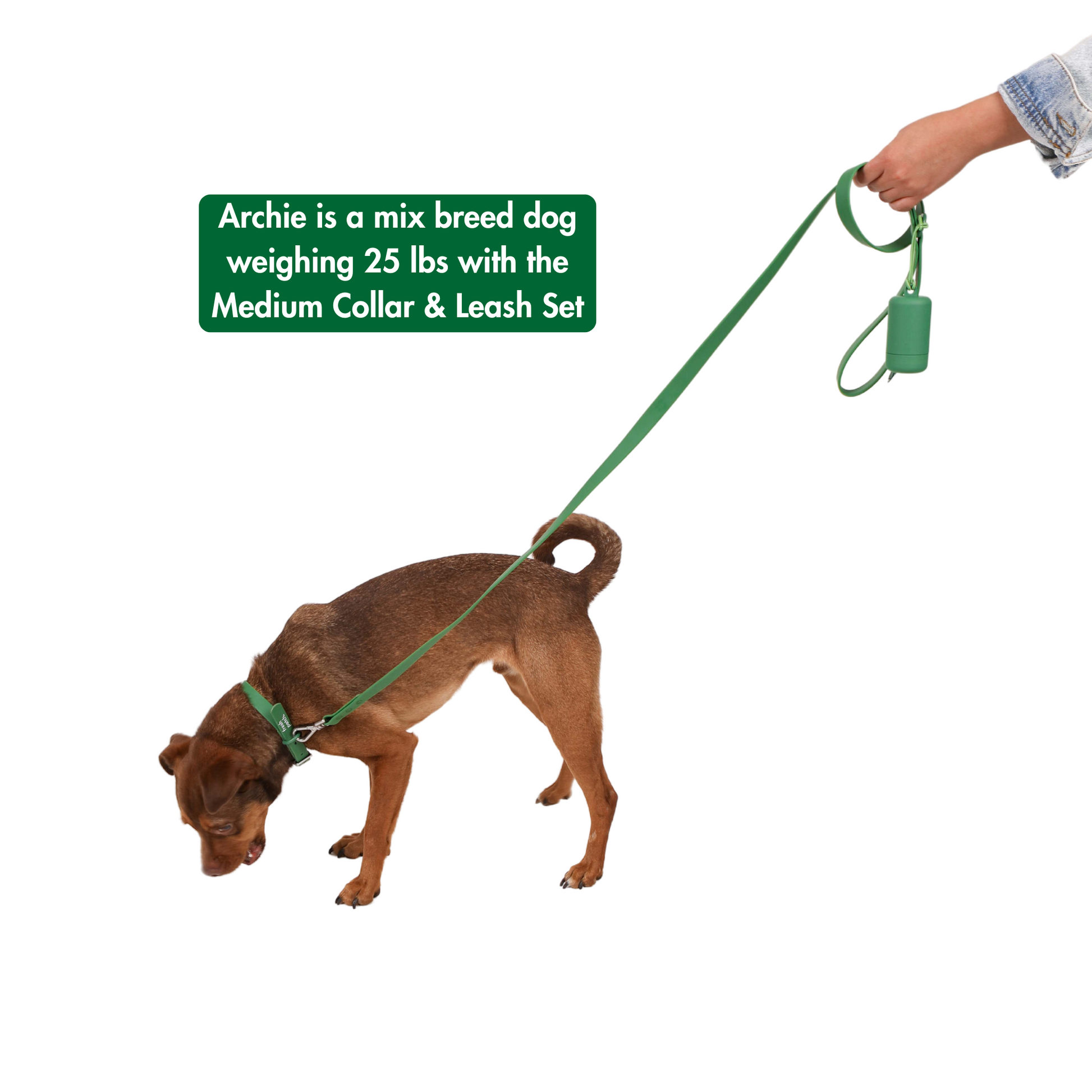 Brown dog wearing green collar and leash on white background with text 'Archie is a mix breed dog weighing 25 lbs with the Medium Collar & Leash Set'