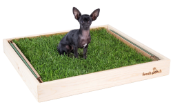 Dog grass potty hot sale box