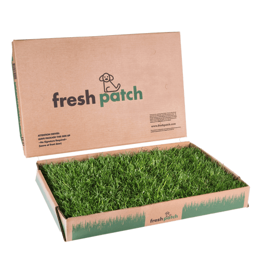 Dog grass patch delivery sale