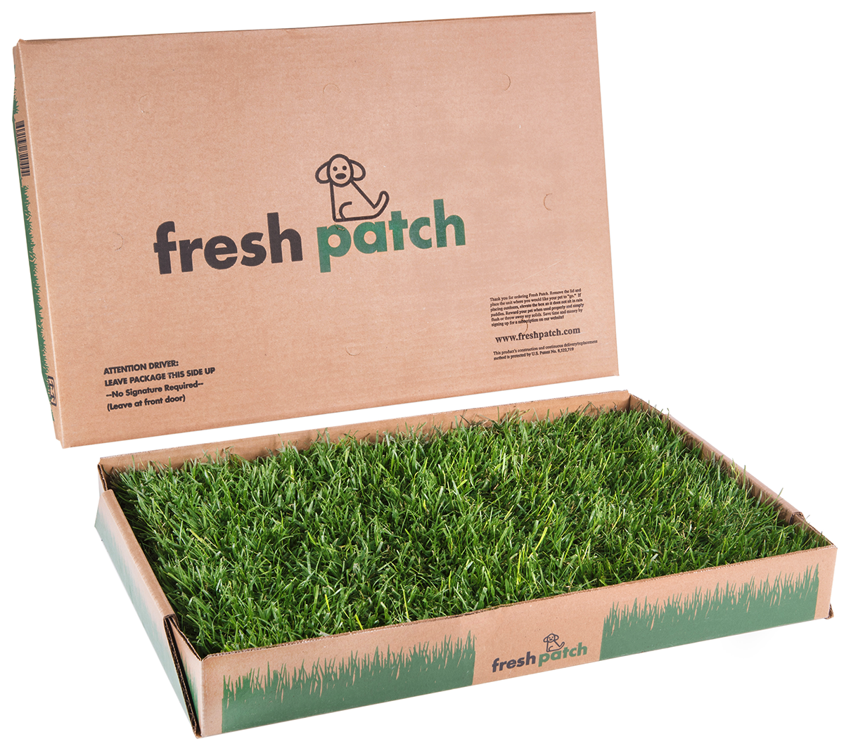 Image of Fresh Patch grass box