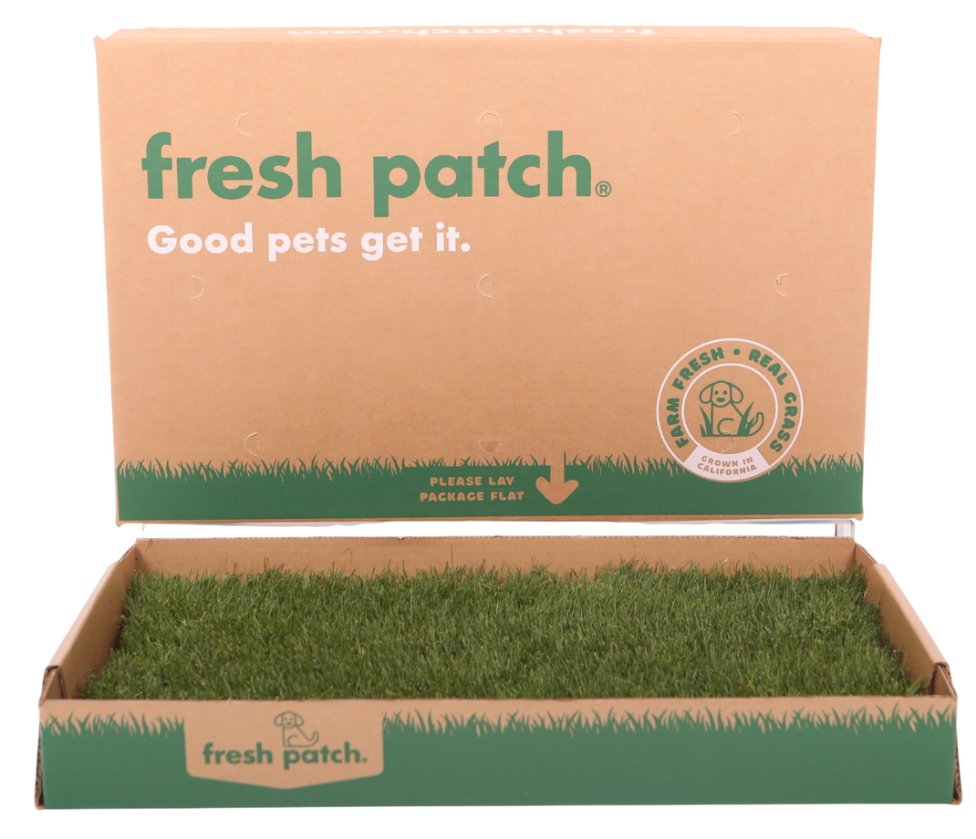 Real Grass Dog Potty | Puppy Pee Pads | Fresh Patch
