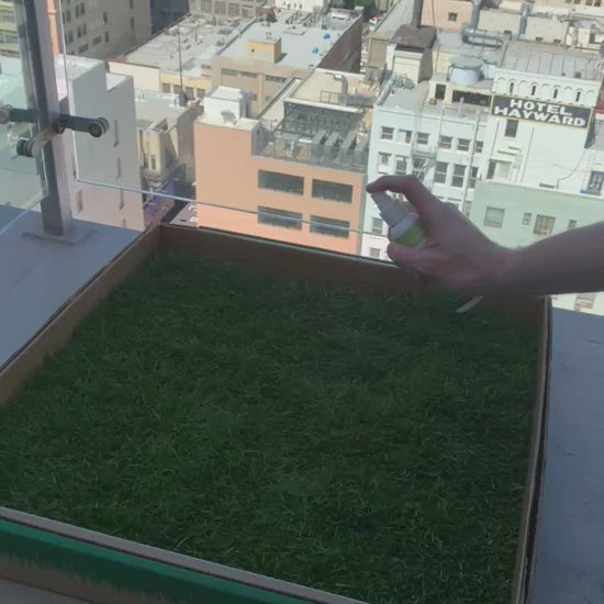 Using the Fresh Patch 'Go Here' Spray on the Fresh Patch Large grass pad.