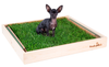 Pine Fresh Patch Puppy Pack with dog on grass