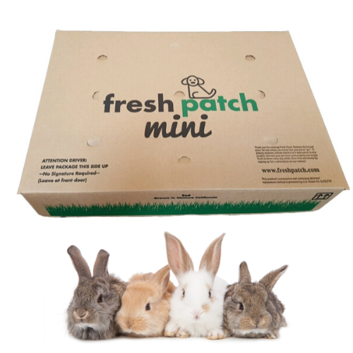 Rabbit Patch - Farm Fresh Grass Pad (Mini)