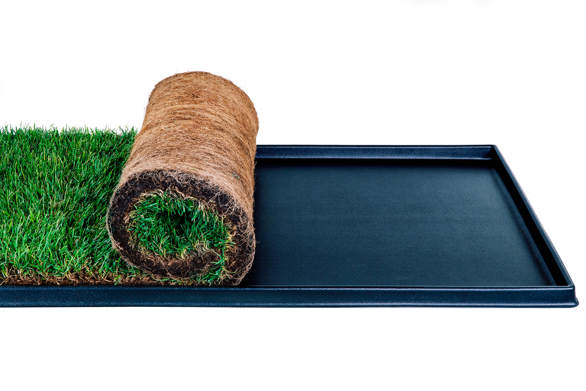 Fresh cheap patch grass