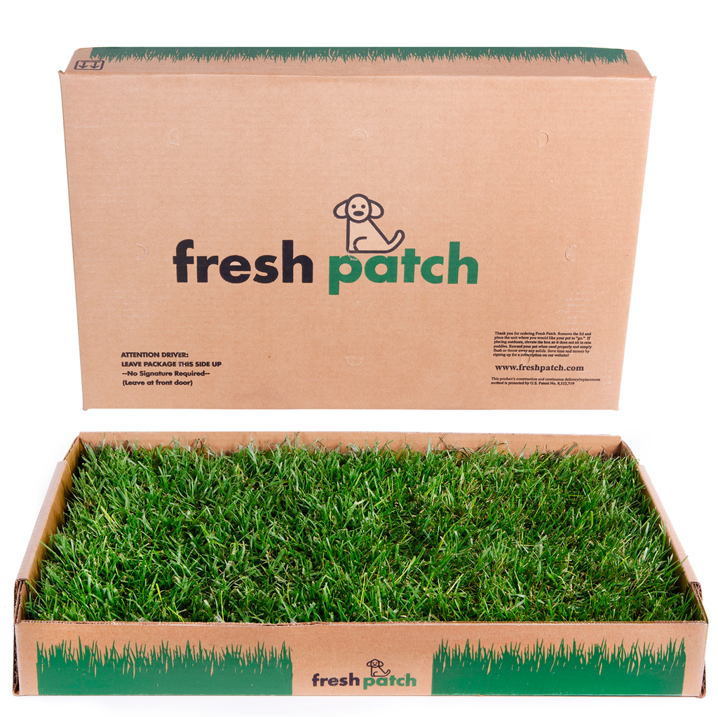 The Fresh Patch Rabbit Patch Farm Fresh Grass Pad (Standard)