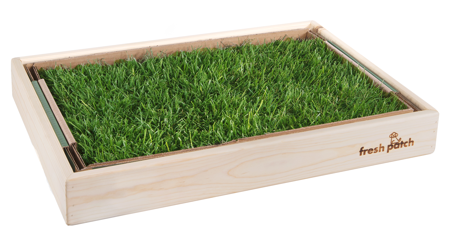 Standard Fresh Patch Puppy Pack in Pine