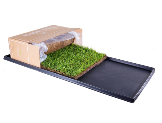 Grass mat for cats shop
