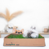 Fresh Patch Mini Grass with Bunny and Small Dog